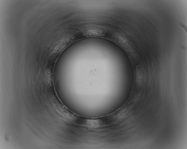 X0000103450457200809191752