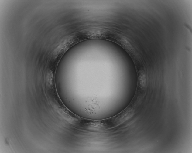 X0000103450458200809191752