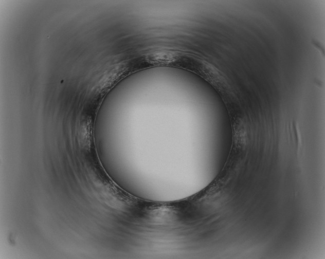 X0000103450460200809191752