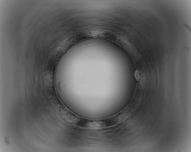 X0000103450461200809191752