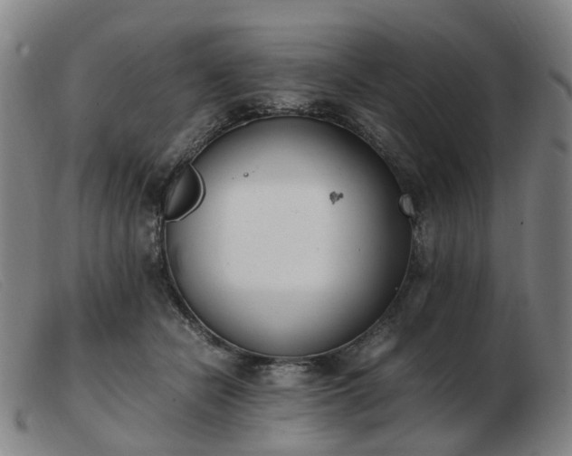 X0000103450462200809191752