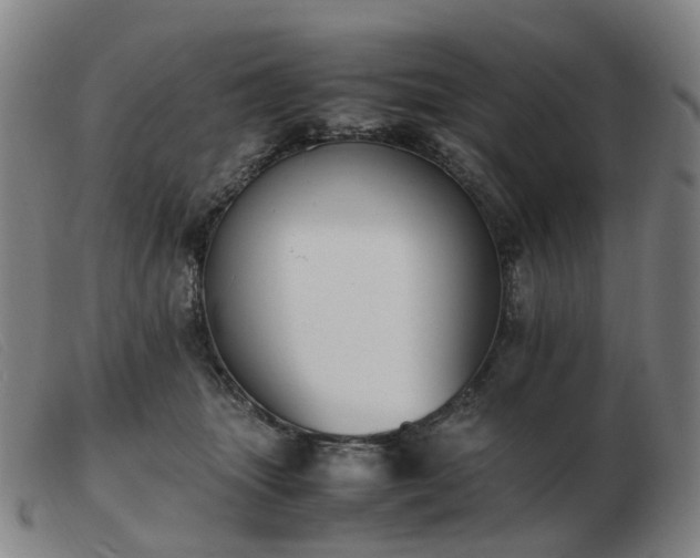 X0000103450463200809191752