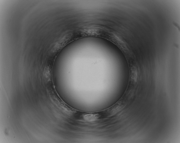 X0000103450465200809191752