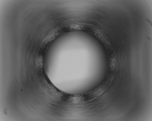 X0000103450466200809191752
