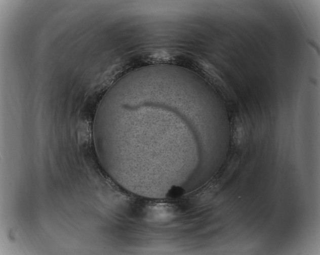 X0000103450467200809191752