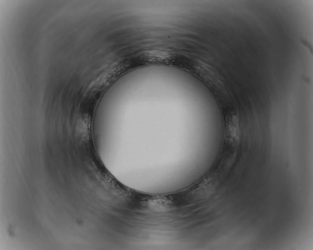 X0000103450468200809191752