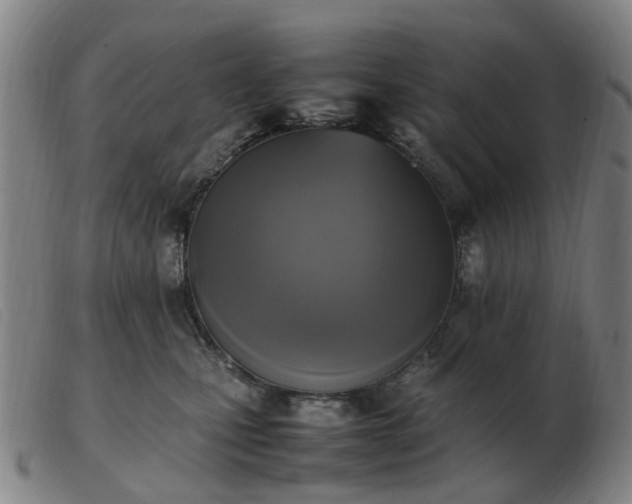 X0000103450471200809191752
