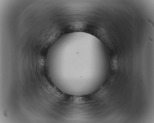 X0000103450472200809191752