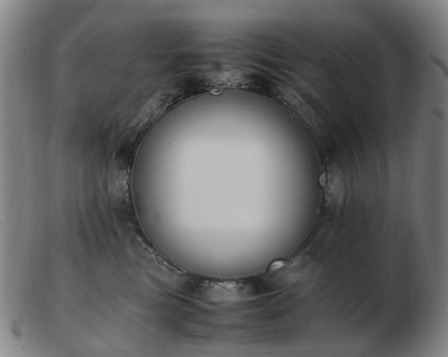 X0000103450473200809191752
