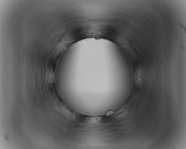 X0000103450474200809191752