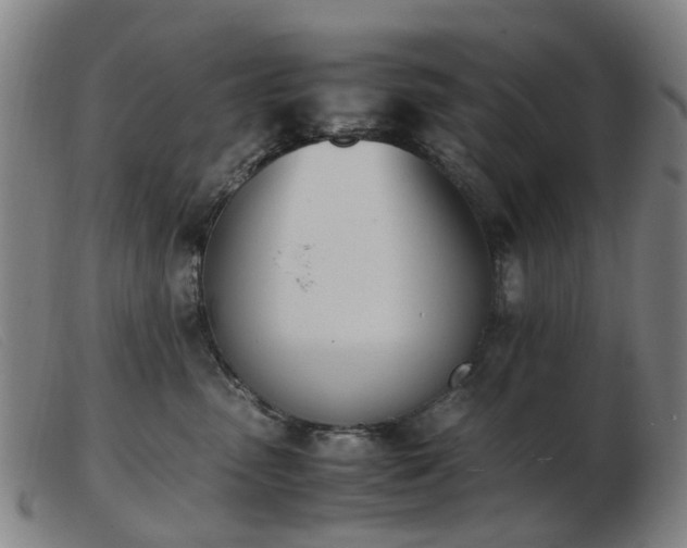 X0000103450475200809191752