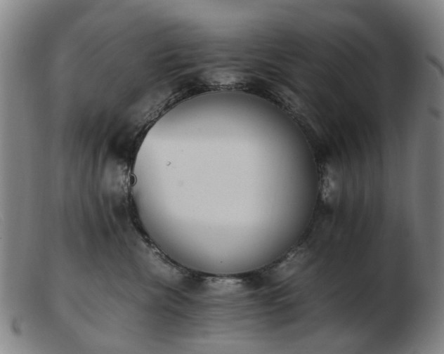 X0000103450476200809191752