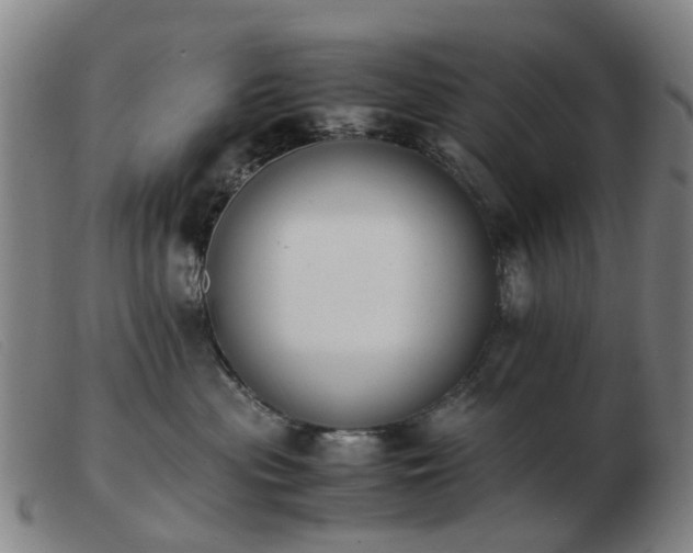 X0000103450477200809191752