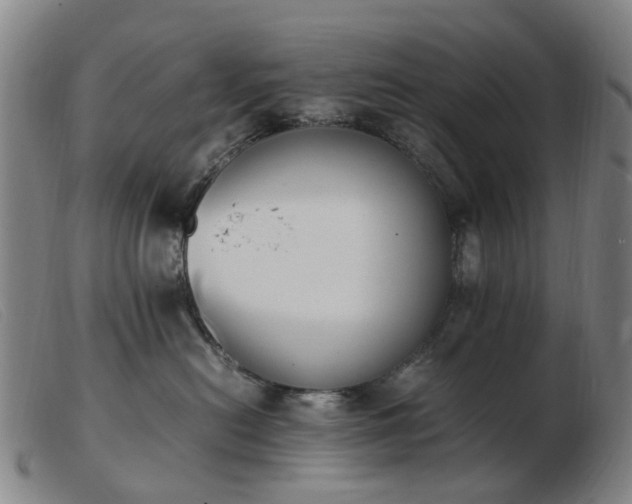 X0000103450478200809191752