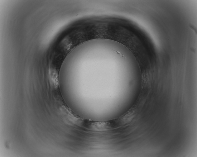 X0000103450479200809191752