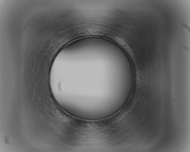 X0000103450481200809191752