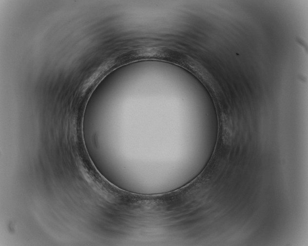X0000103450482200809191752