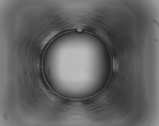 X0000103450483200809191752