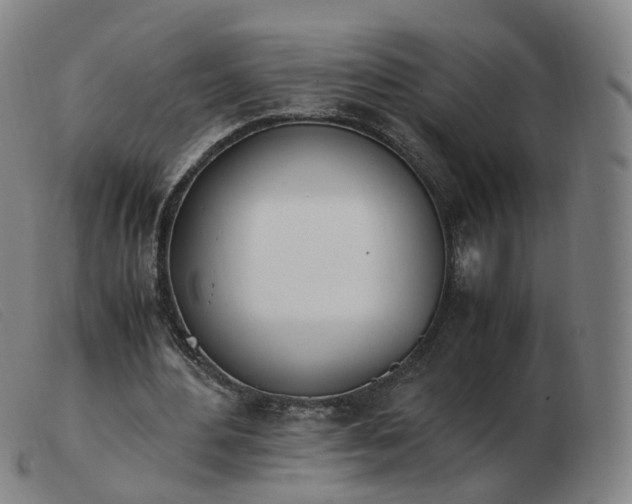 X0000103450484200809191752