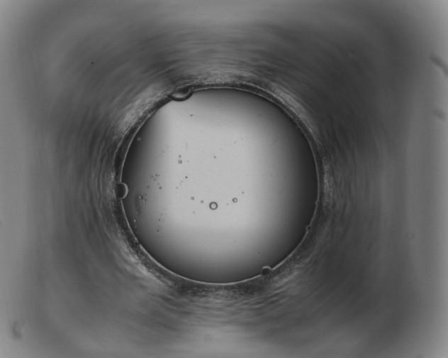 X0000103450485200809191751