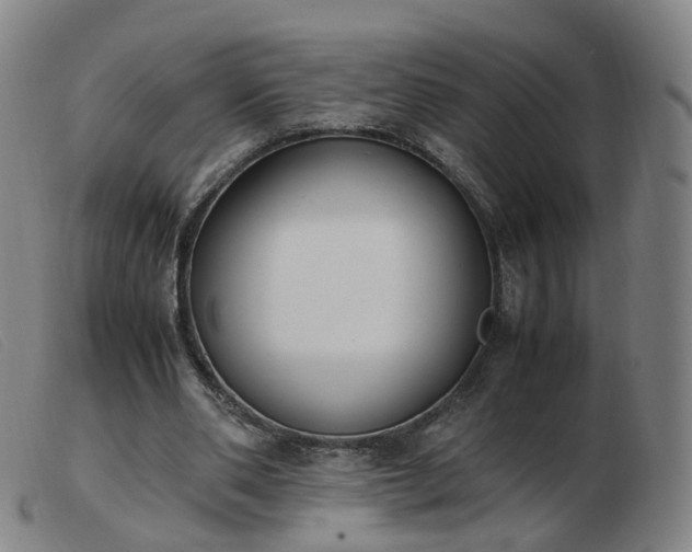 X0000103450486200809191751