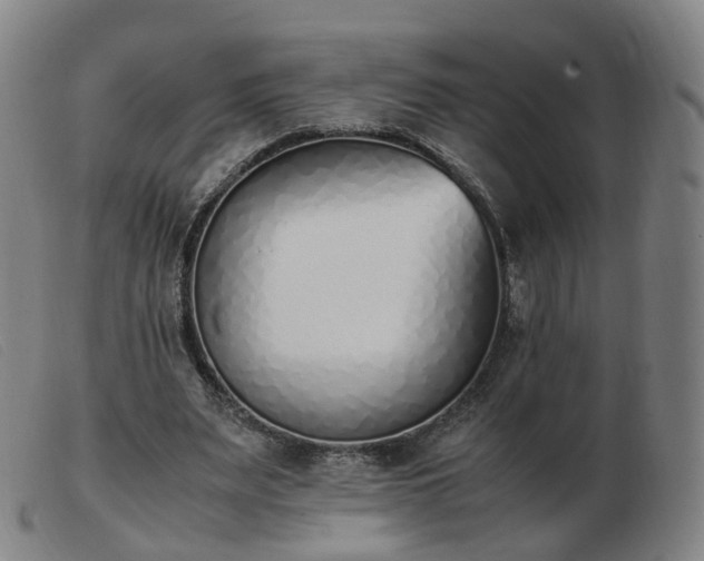 X0000103450487200809191751
