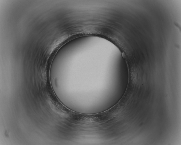 X0000103450488200809191751