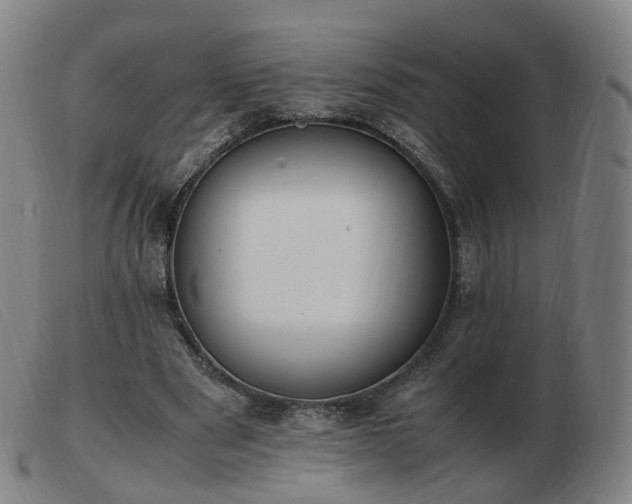 X0000103450489200809191751