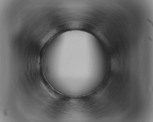 X0000103450490200809191751