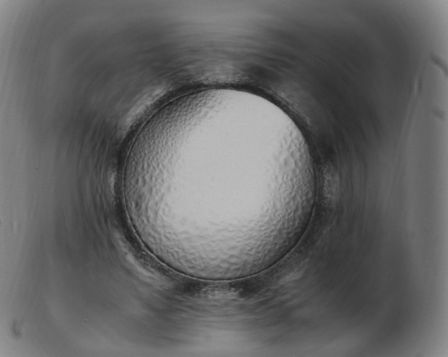 X0000103450491200809191751