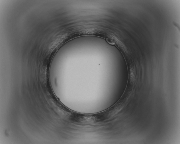 X0000103450493200809191751