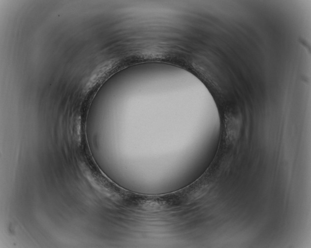 X0000103450494200809191751