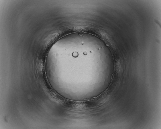 X0000103450495200809191751