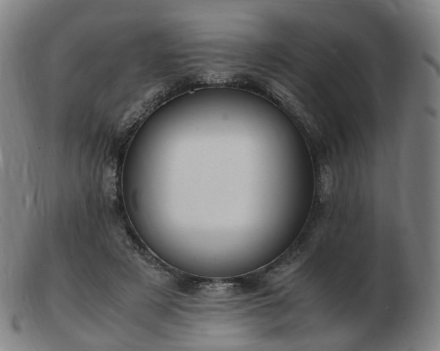 X0000103450497200809191751