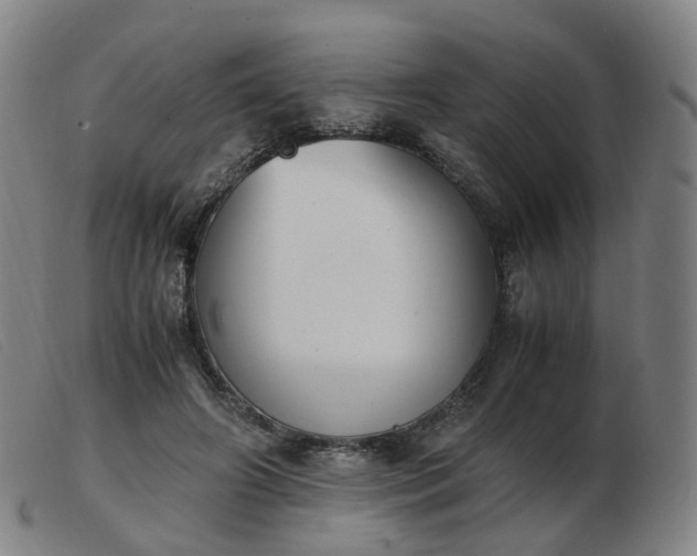 X0000103450498200809191751
