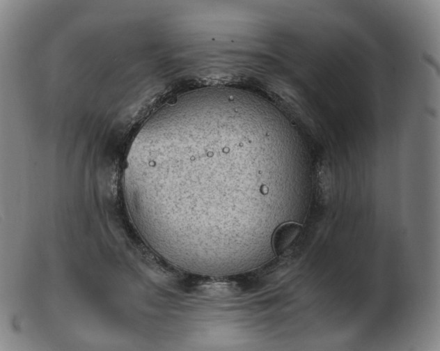 X0000103450499200809191751