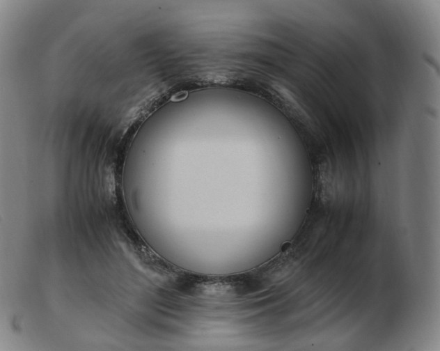 X0000103450500200809191751