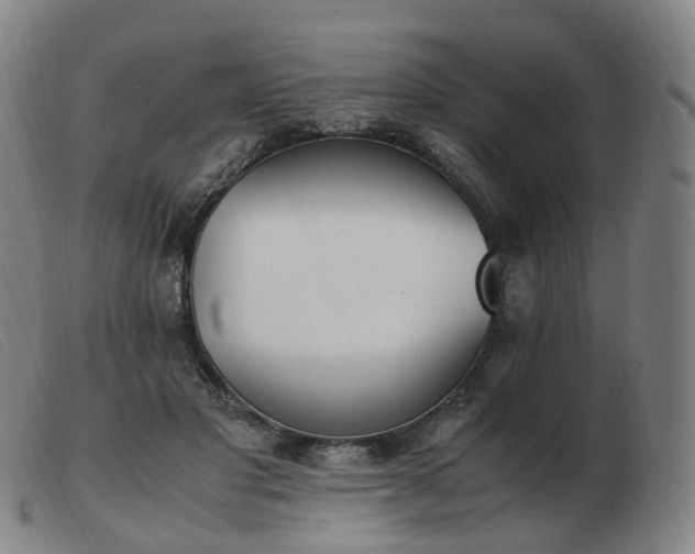 X0000103450501200809191751