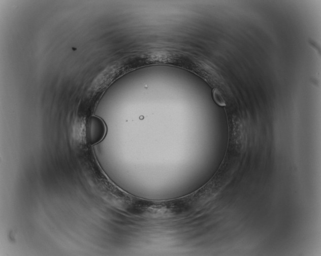 X0000103450502200809191751
