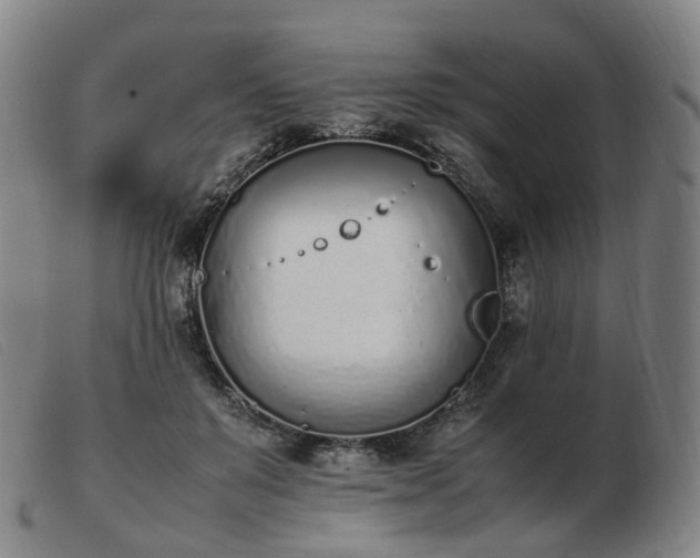 X0000103450503200809191751