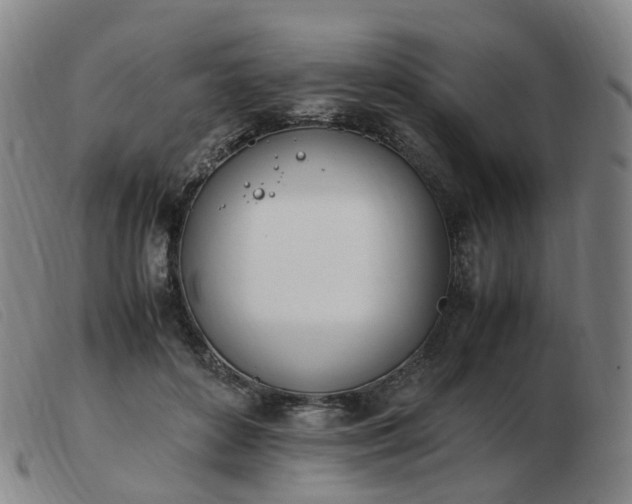 X0000103450504200809191751