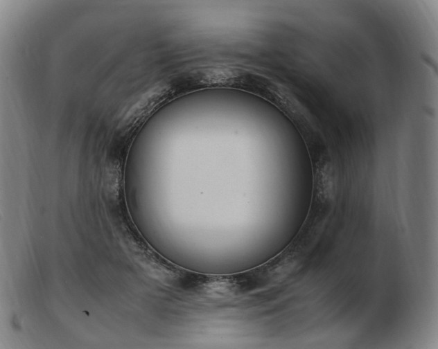 X0000103450505200809191751
