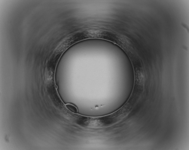 X0000103450507200809191751