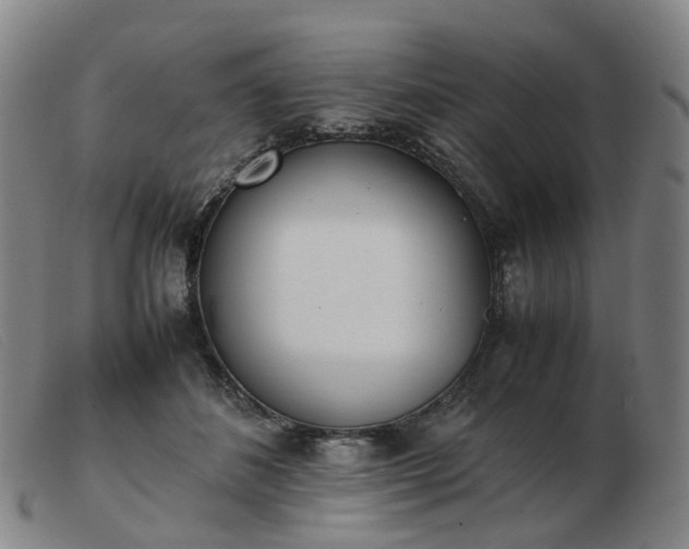 X0000103450508200809191751