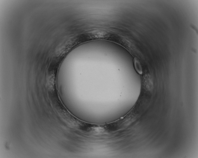 X0000103450509200809191751