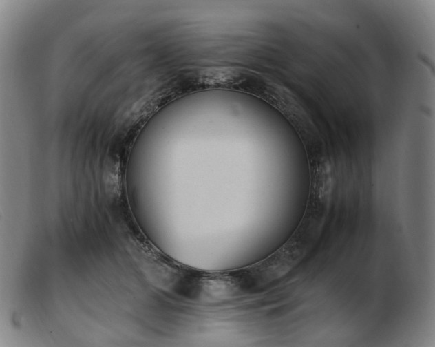 X0000103450510200809191751