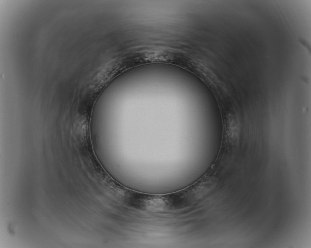 X0000103450513200809191751