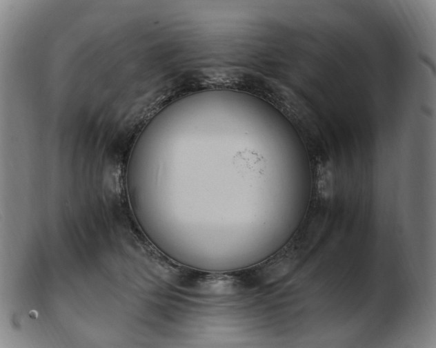 X0000103450514200809191751