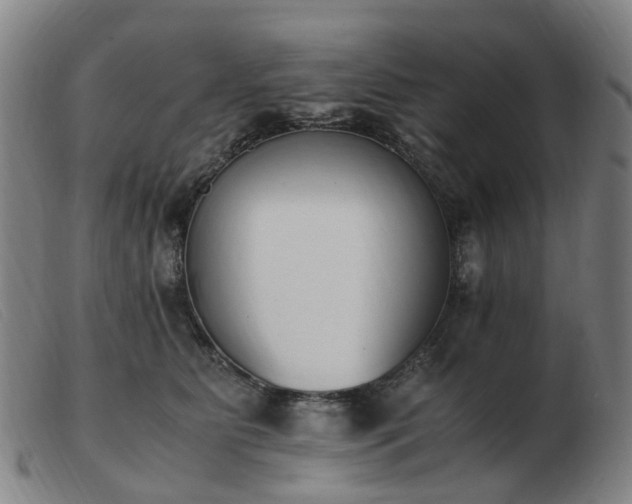 X0000103450515200809191751