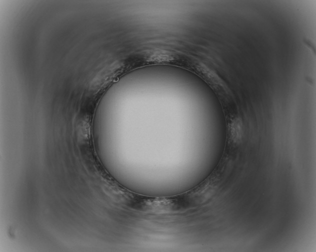 X0000103450517200809191751